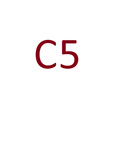 il calcio a 5 del TORREGLIA ASD