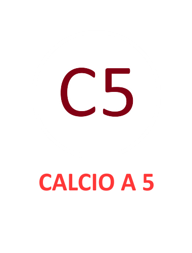 il calcio a 5 del TORREGLIA ASD